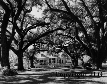 Oakland Plantation Louisiana