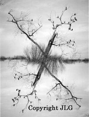 Finding South - White Rock Lake, Dallas, TX