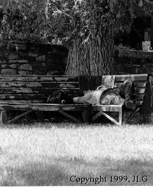 Lazy Day In New Mexico - Ghost Ranch, NM