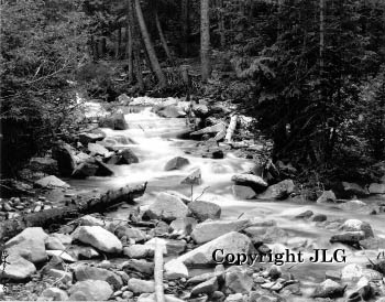 Colorado Stream - Montezuma, CO