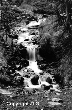High Altitude Refreshment - Montezuma, CO