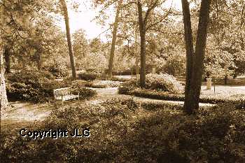 Wayne Curtis Memorial Garden 