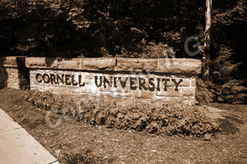 Brown Chapel Interior from Balcony 