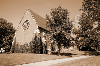 Footbridge in the Arboretum 