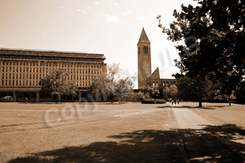 Crumley Memorial Terrace