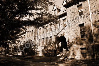 Wayne Curtis Memorial Garden 