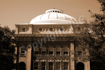 Wayne Curtis Memorial Garden 