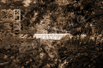 Wayne Curtis Memorial Garden 