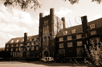 Wayne Curtis Memorial Garden 