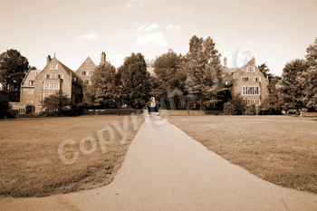 Wayne Curtis Memorial Garden 