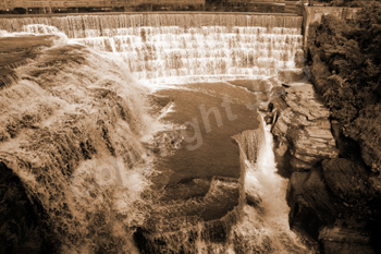 Wayne Curtis Memorial Garden 