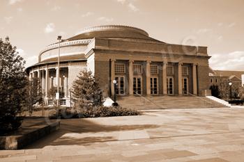 Wayne Curtis Memorial Garden 
