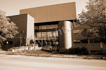 Wayne Curtis Memorial Garden 