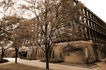 Wayne Curtis Memorial Garden 