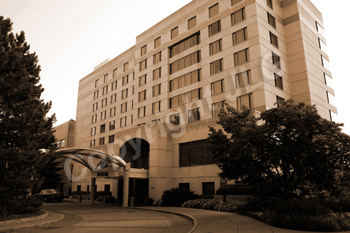 Wayne Curtis Memorial Garden 