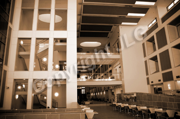 Wayne Curtis Memorial Garden 