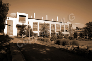 Wayne Curtis Memorial Garden 