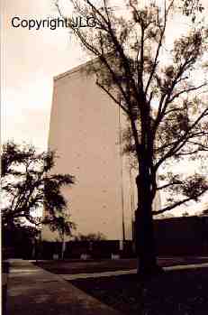 Wyly Tower from Courtyard with Tree 