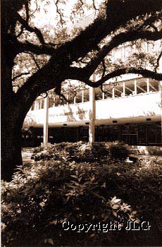 Middleton Library