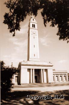 Memorial Tower thru Tree