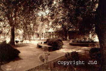 Garden with Benches