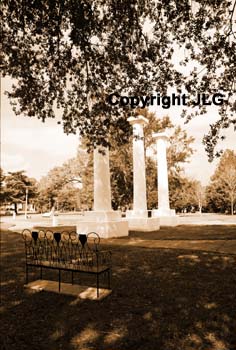 Columns Thru Trees 