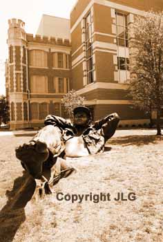 Sculpture in Fine Art Area