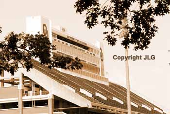 Stadium Stands through Trees 