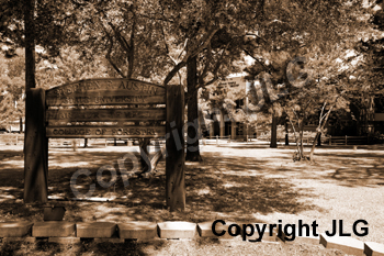 Wayne Curtis Memorial Garden 