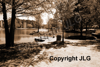 Wayne Curtis Memorial Garden 