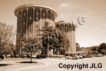 Wayne Curtis Memorial Garden 