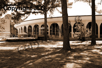 Wayne Curtis Memorial Garden 