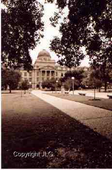 Academics Bldg thru Trees