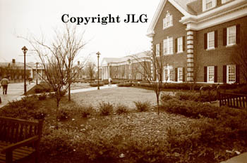 Looking Down the Quad 