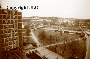 Campus View From Top of Travers 