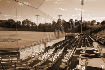 Mike Carter Stadium Seats