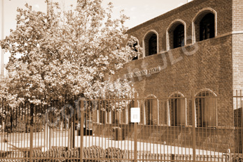 Mike Carter Stadium Entrance