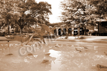 Auditorium Fine Arts Fountain