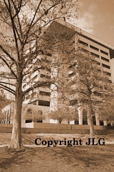 Administration Building Thru Tree