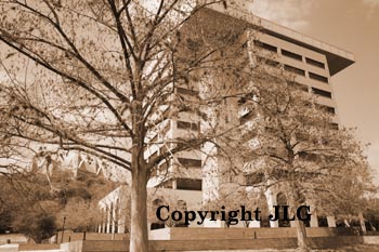 Administration Building Through Tree