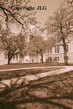 Old Main Thru Trees 