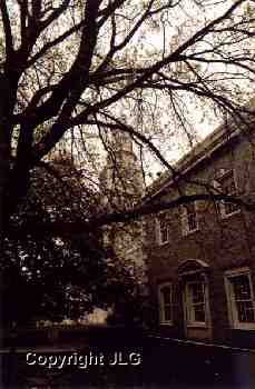 Admin Building Through Trees 