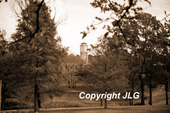 Tower Across Pond