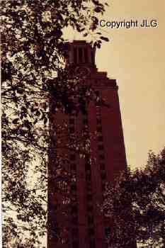 Tower Through Trees 