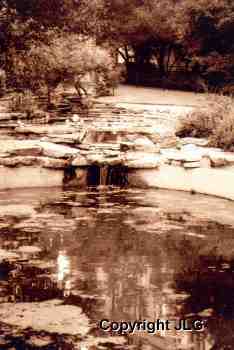 Turtle Pond Waterfall 