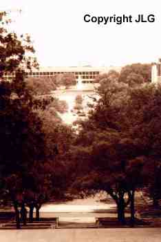 Looking East from Tower