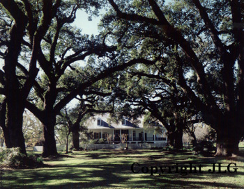 Oakland Plantation - Louisiana