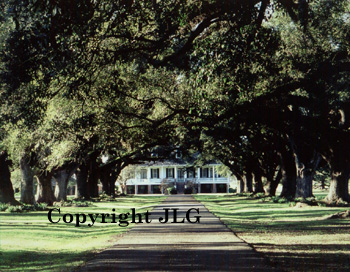 Oaklawn Plantation - Louisiana