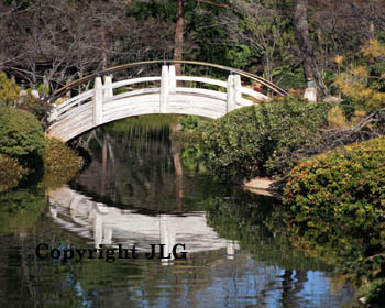 Japanese Garden Bridge - Fort Worth, TX