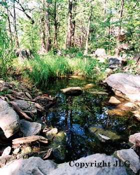 Meditate Here - Krause Springs, Spicewood, TX